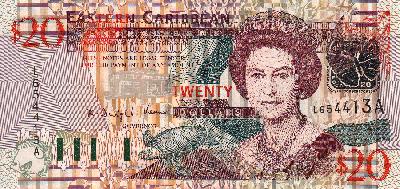 Beschrijving voorzijde: TURTLE